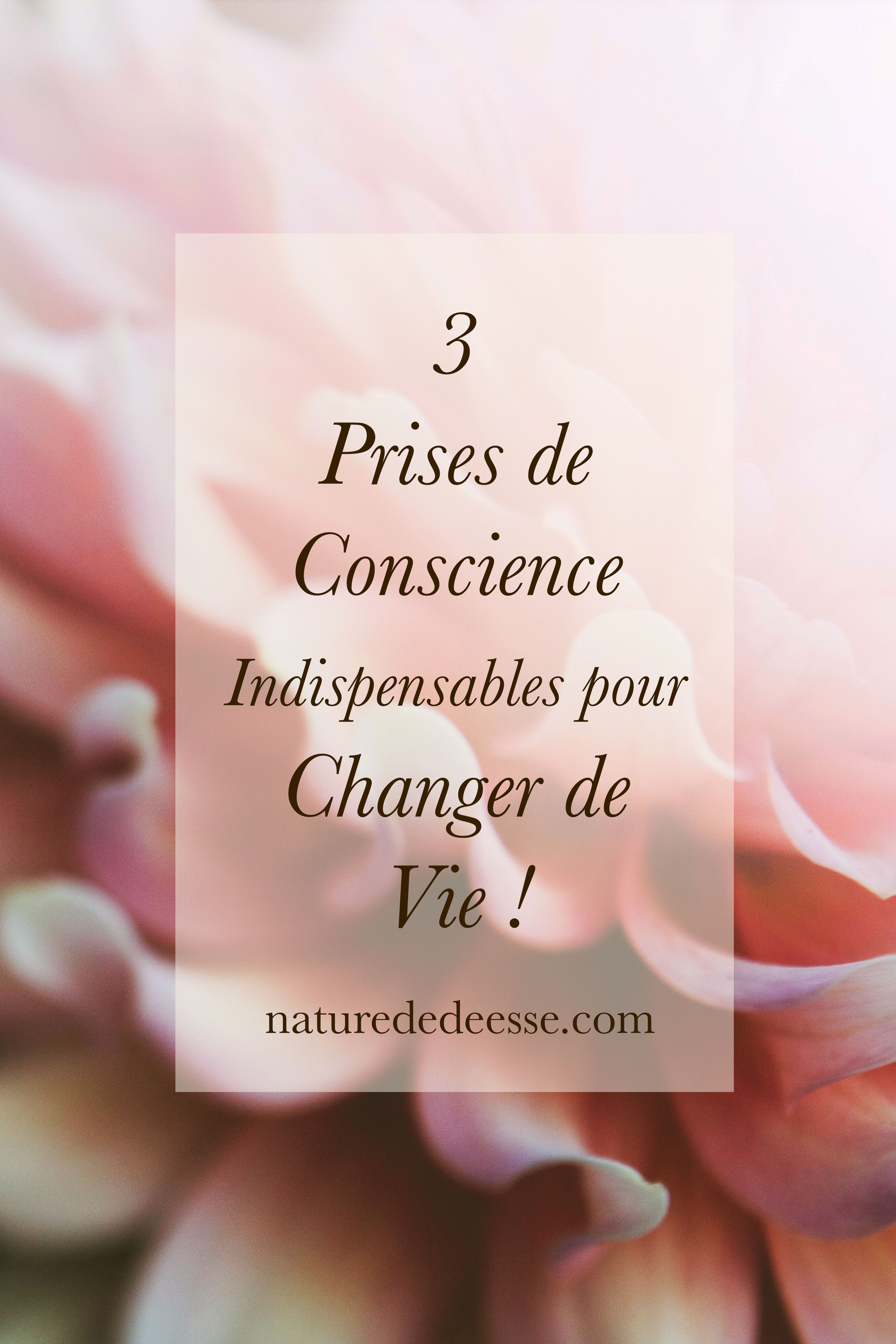 3 Prises de Conscience pour Changer de Vie !