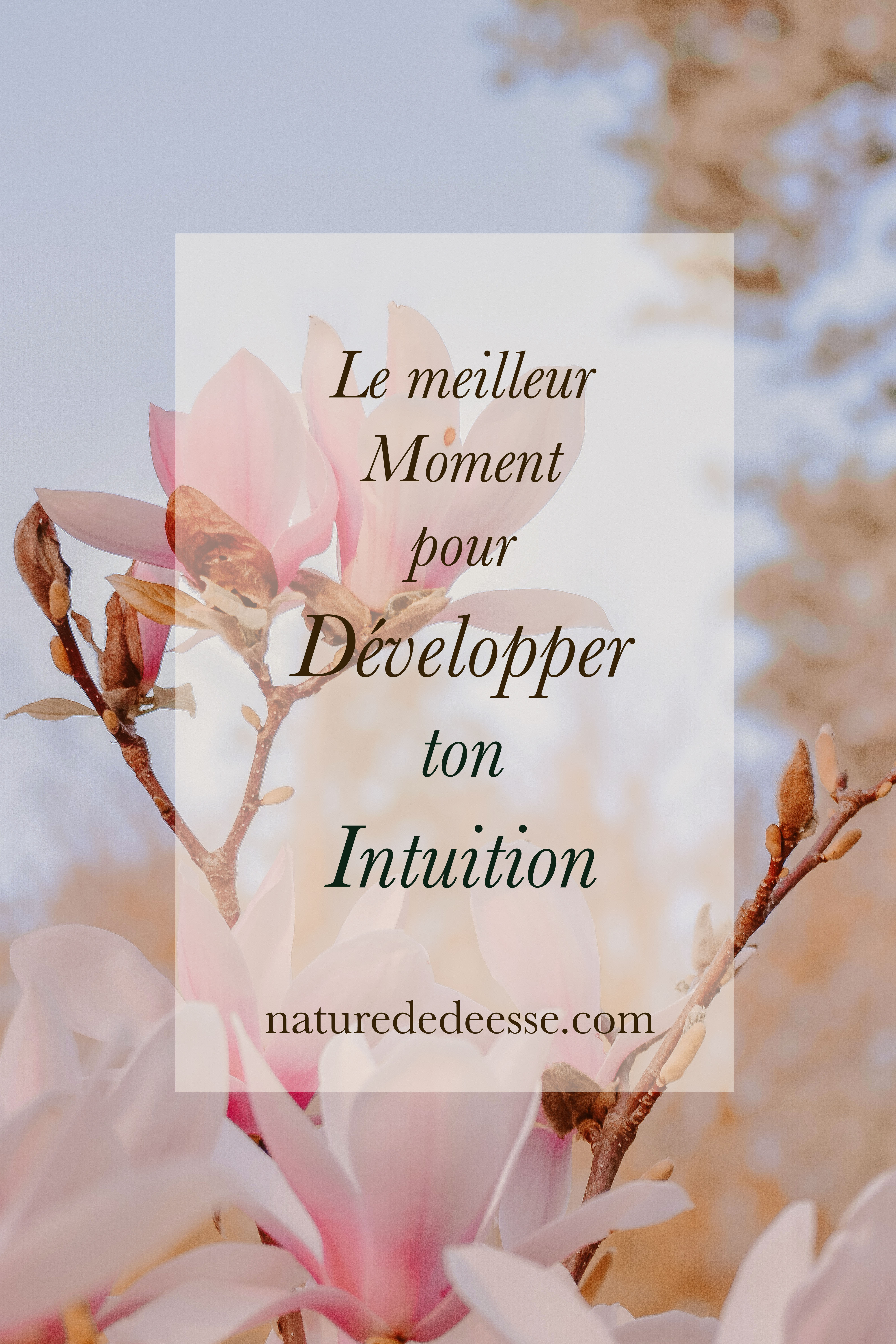 Le meilleur Moment pour devenir plus Intuitive - Nature de déesse