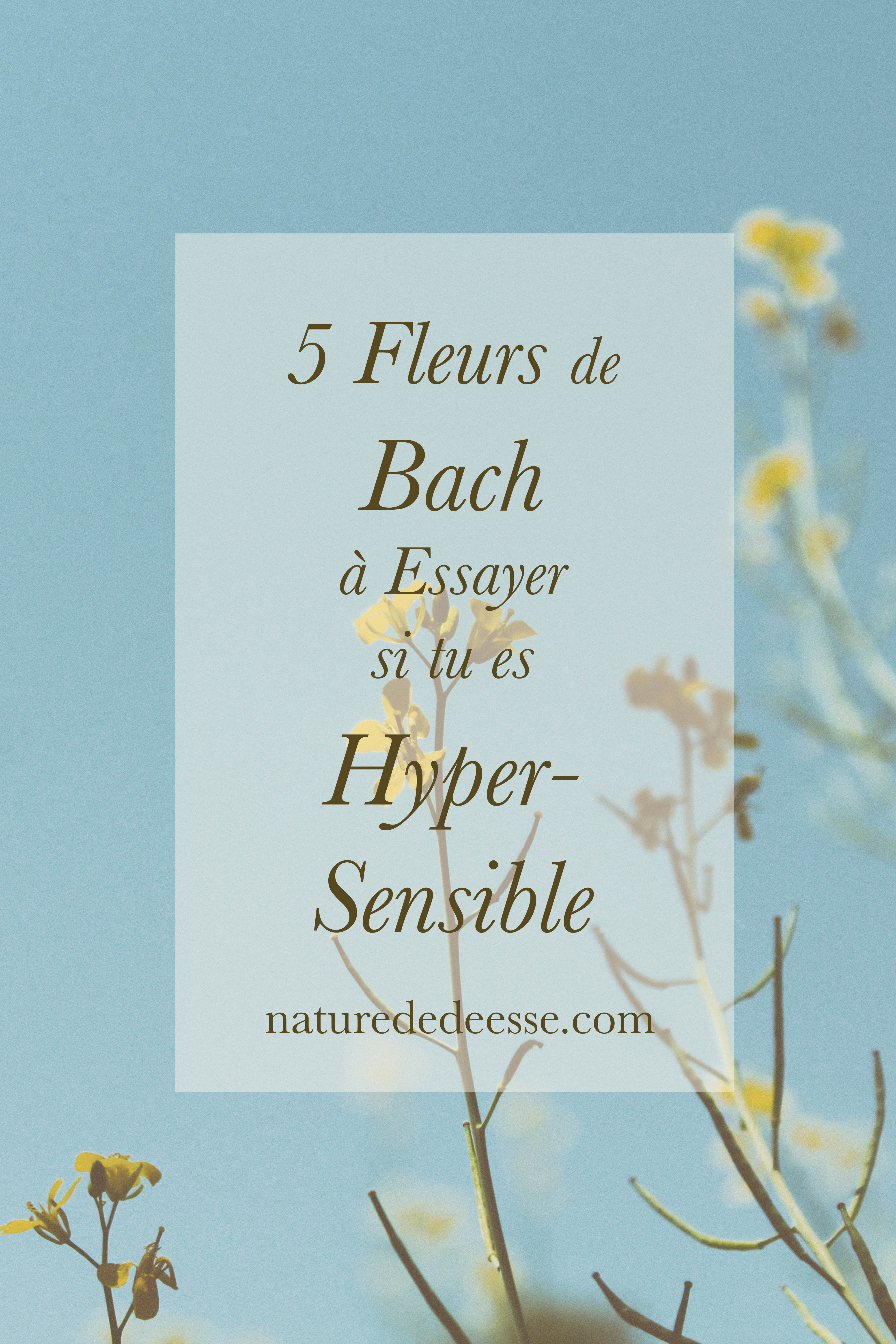 5 Fleurs de Bach si tu es hypersensible - Nature de déesse