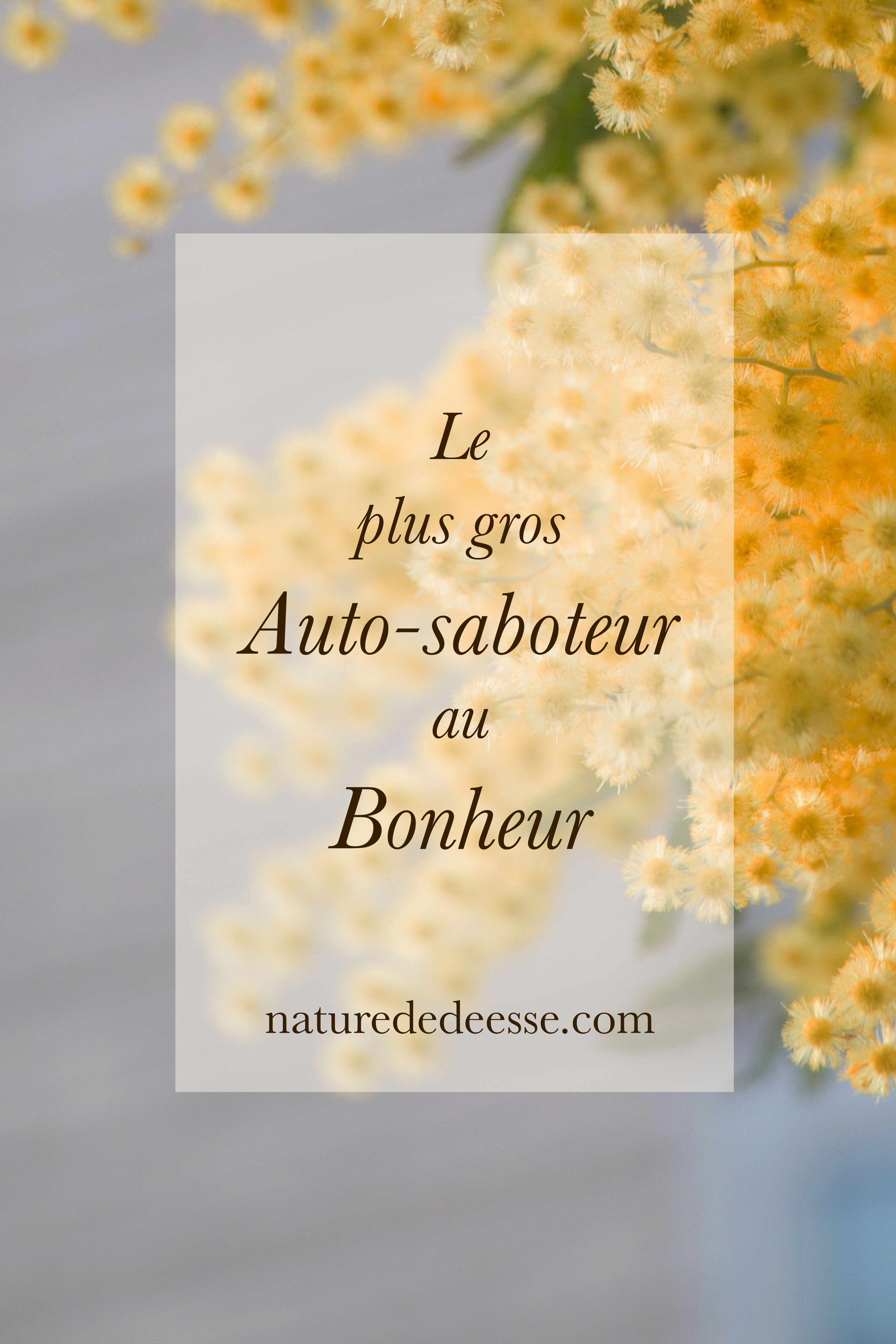 Le plus gros auto-saboteur au bonheur -Nature de déesse