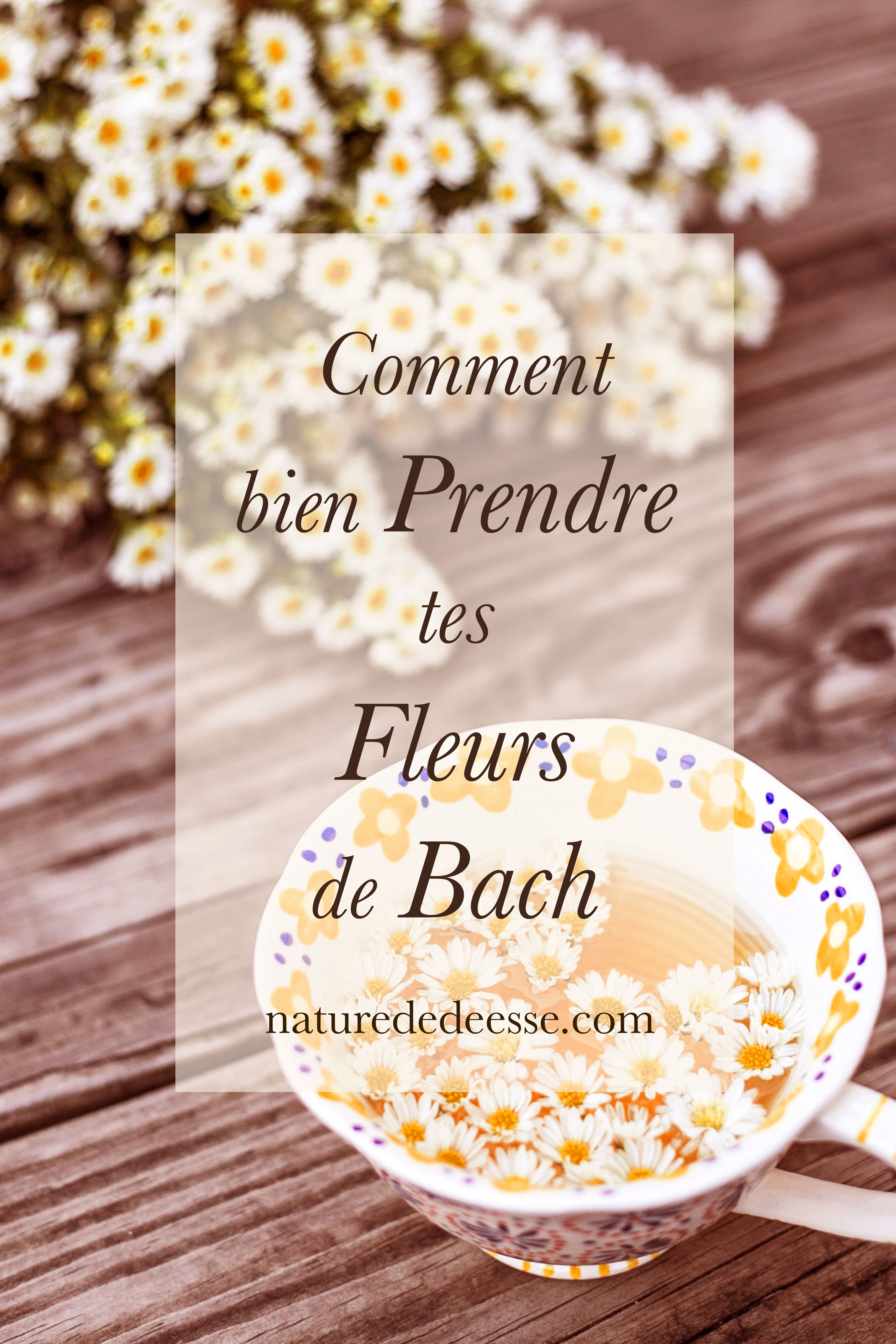 Comment prendre tes fleurs de bach - Nature de déesse