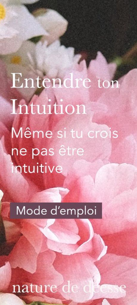 Mon mode d'emploi pour entendre les messages de ton intuition - Nature de déesse