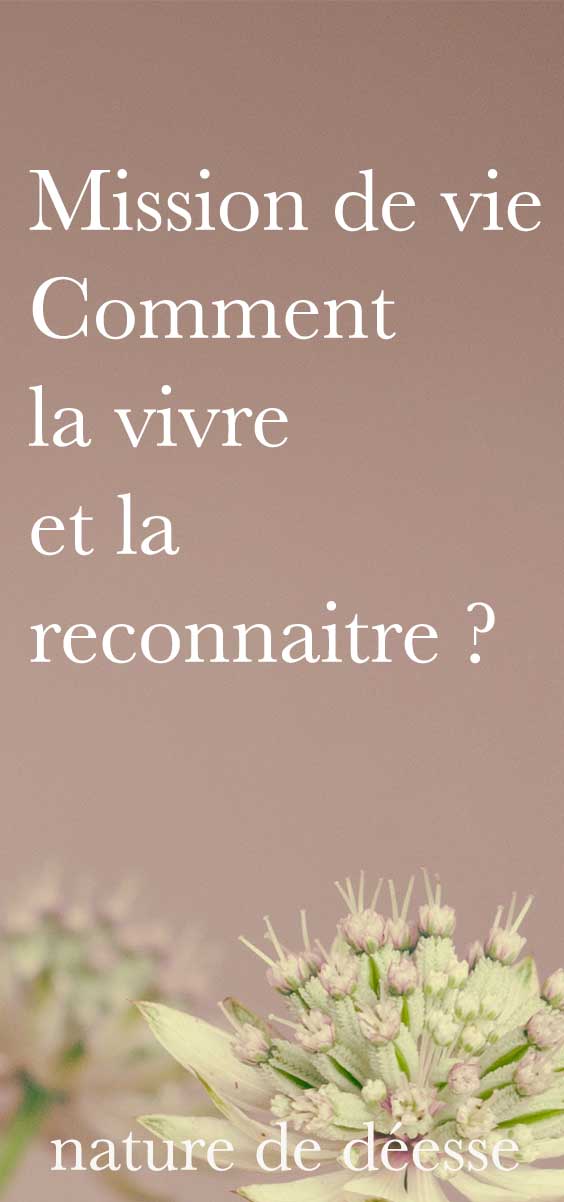 Si tu veux savoir comment reconnaitre ton chemin de vie et vivre ta mission de vie alors tu vas adorer ce podcast, je t'y livre mes 4 étapes simples.