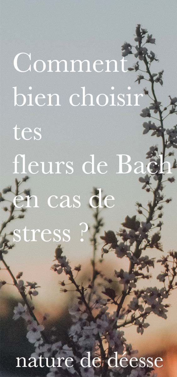 Si tu es stressée, le Rescue est-il la meilleure solution fleurs de Bach pour toi ? Quelles autres élixirs floraux pourraient t'aider ?