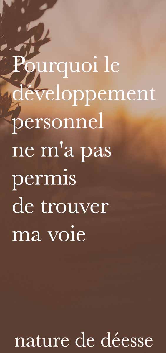 Tu aimerais trouver ta voie, ta mission de vie, savoir qui tu es ? Alors ne suis pas les conseils en développement personnel. Voici plutôt comment faire.