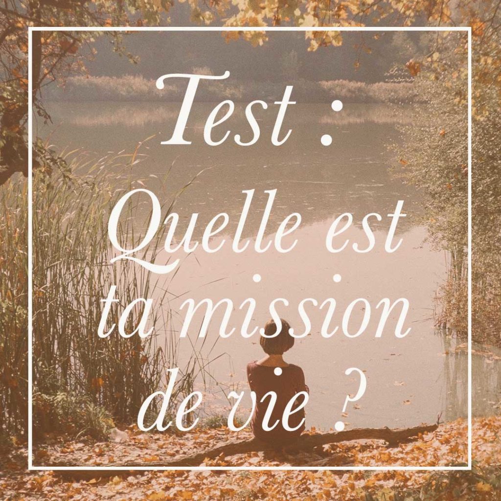 Réalise ce test gratuit pour connaitre quelle est ta mission de vie, ton ikigai.
