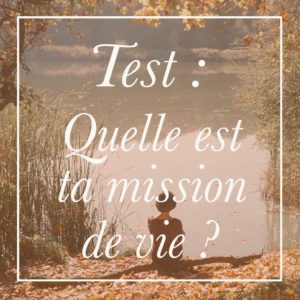 Réalise ce test gratuit pour connaitre quelle est ta mission de vie