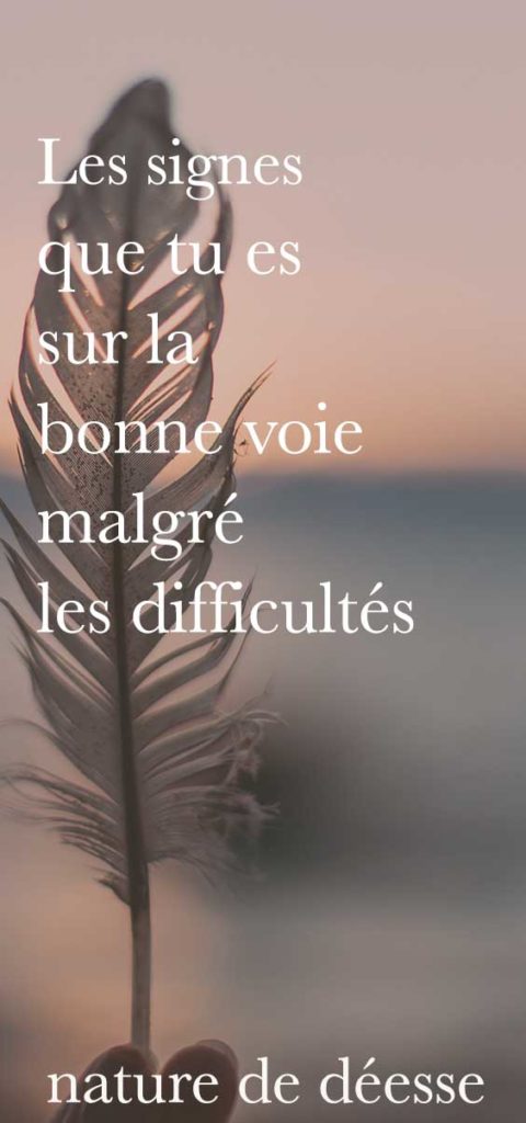 Il y a des signes intuitifs qui peuvent te confimer que tu es sur la bonne voie, que tu suis ta mission de vie. Mais comment faire pour en être sure lorsque l'on vit des difficultés ?