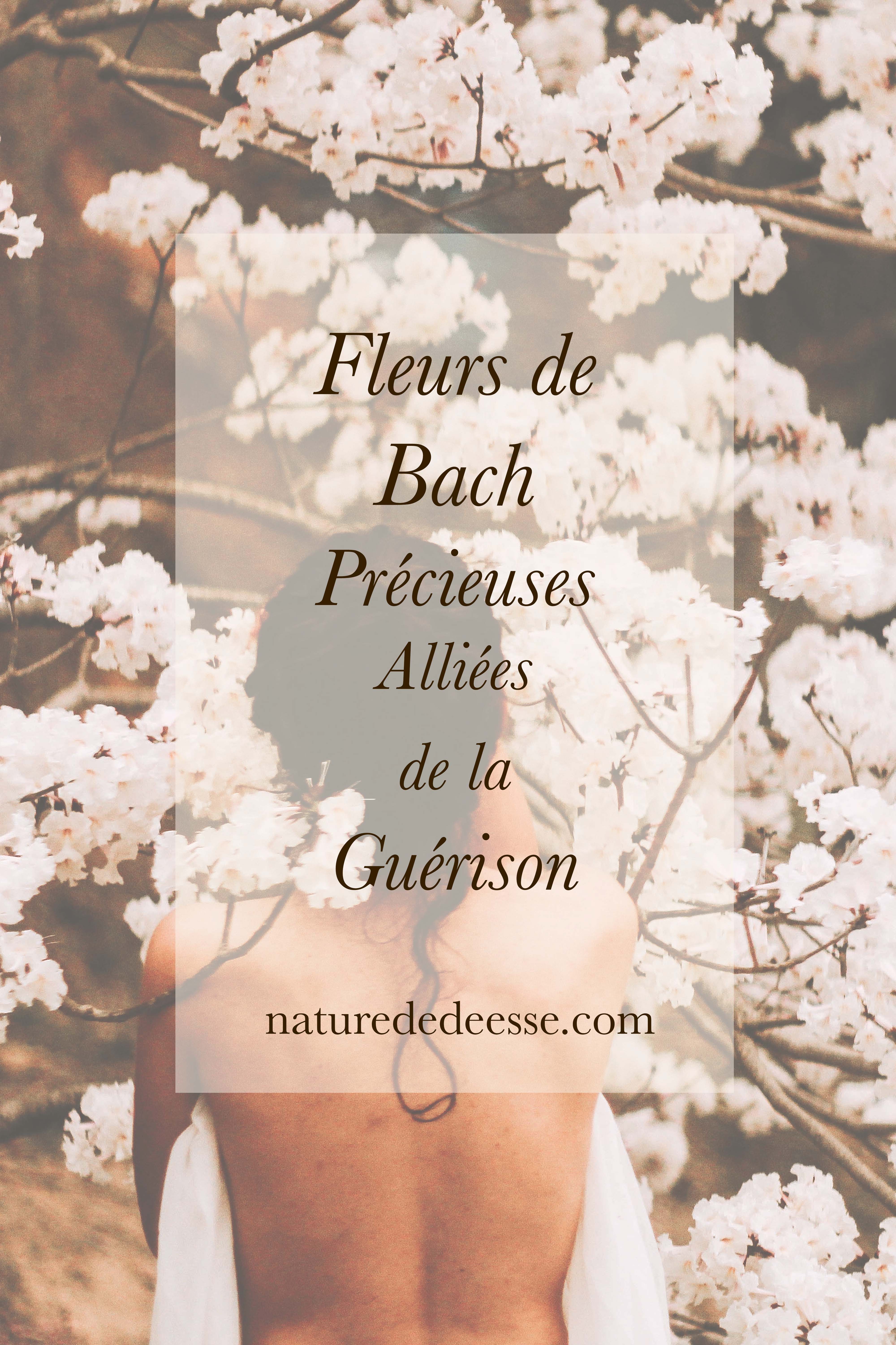 Pourquoi les Fleurs de Bach sont de Précieuses Alliées Émotionnelles ?
