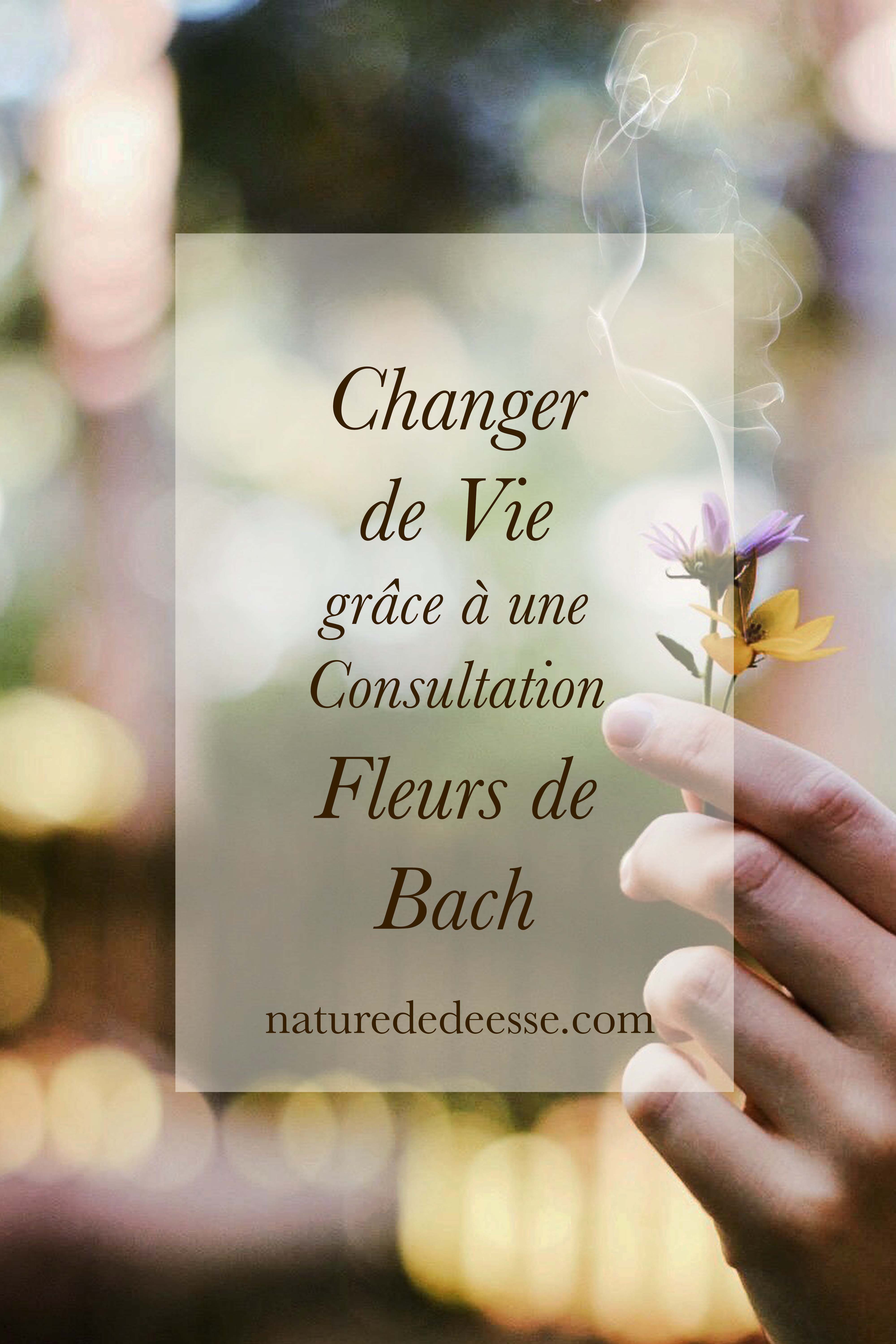 Change ta Vie grâce à une Consultation Fleurs de Bach
