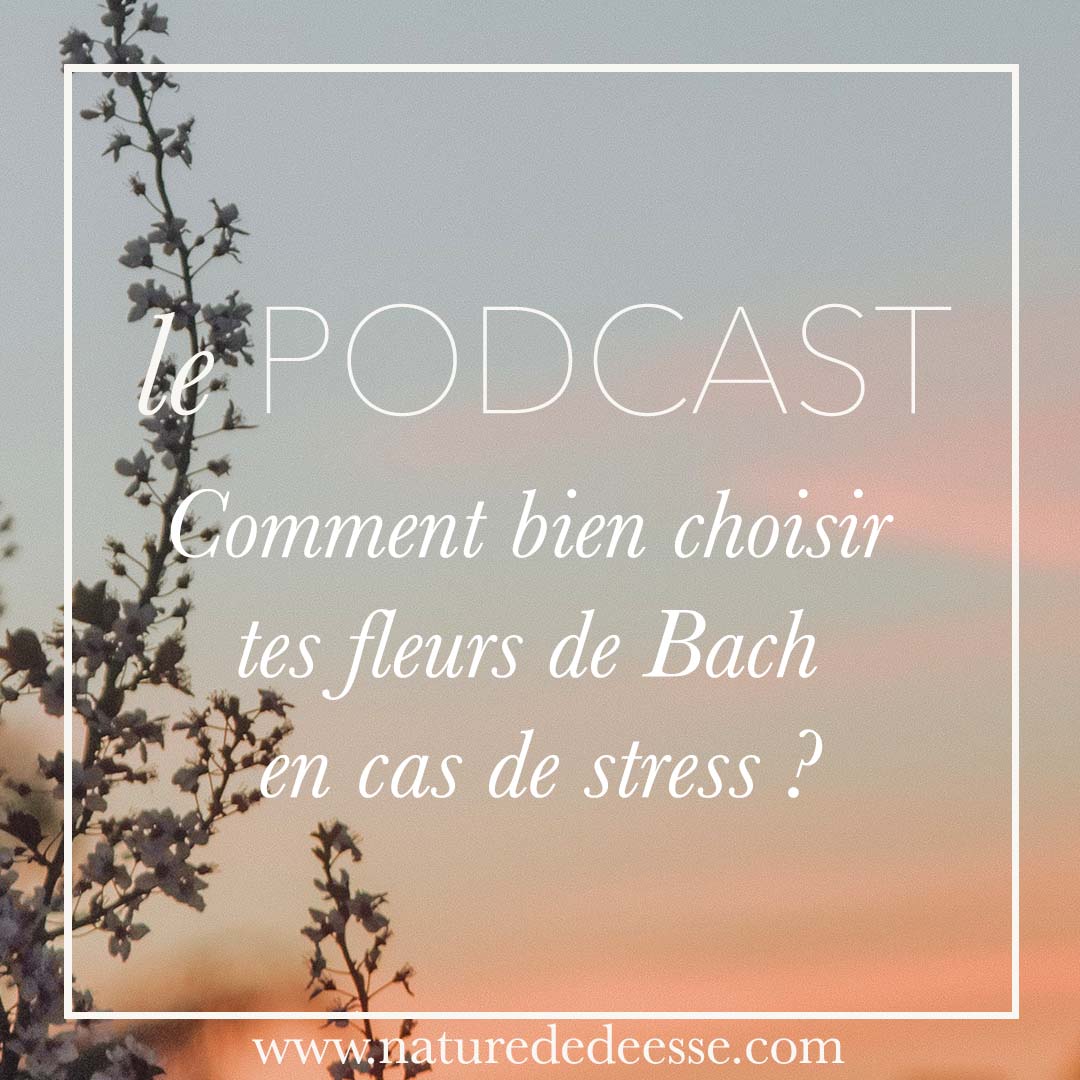 Comment bien choisir tes fleurs de Bach en cas de stress ?