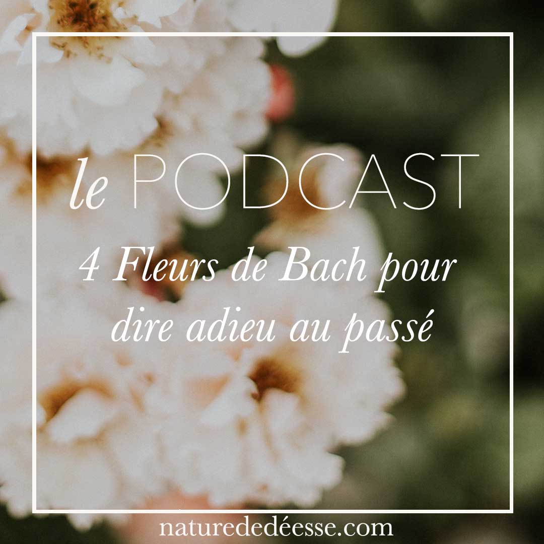 4 fleurs de Bach pour dire adieu au passé, tes blessures et tes vieilles habitudes