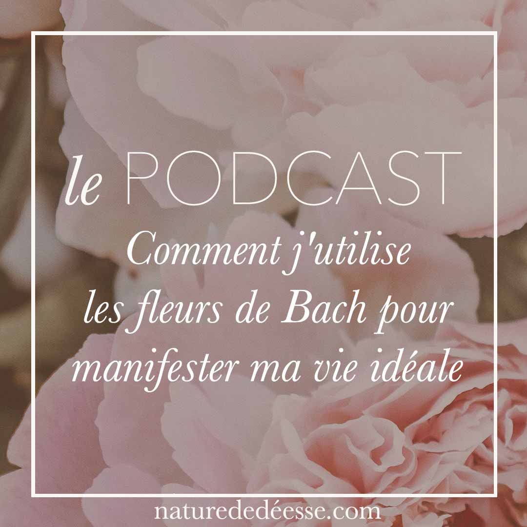Comment j&rsquo;utilise les Fleurs de Bach pour Manifester ma Vie Idéale