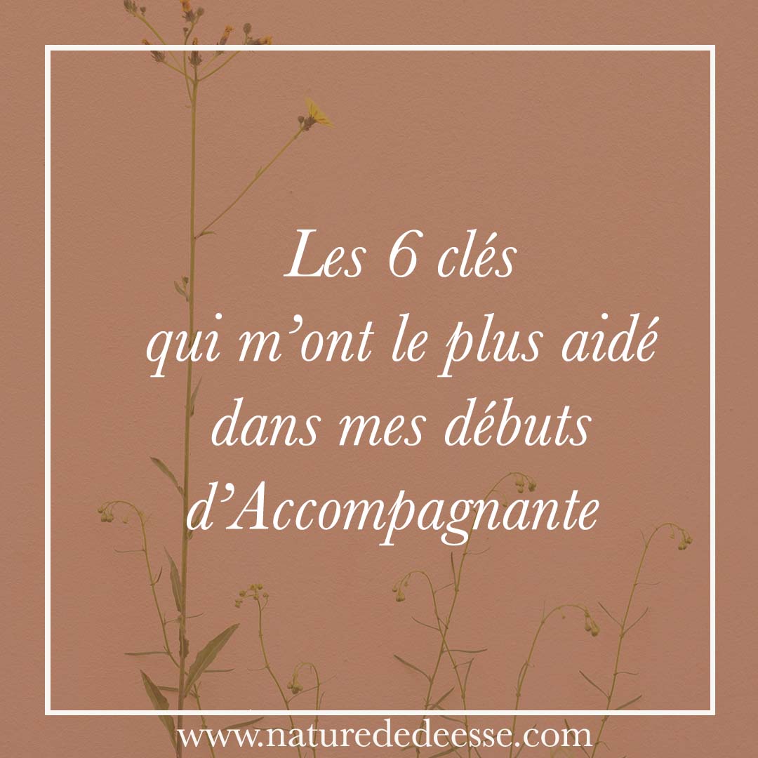 Ce qui m&rsquo;a le Plus Aidé au Début de mon Entreprise 